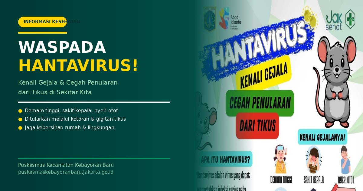 Waspada Hantavirus: Kenali Gejala dan Cara Mencegah Penularan dari Tikus
